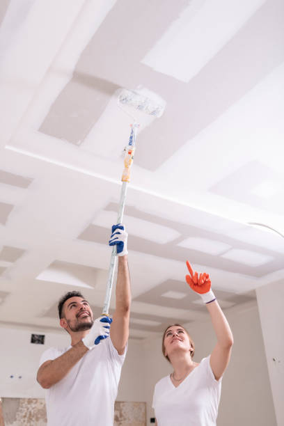 Best Biohazard Mold Removal  in Clifton, NJ