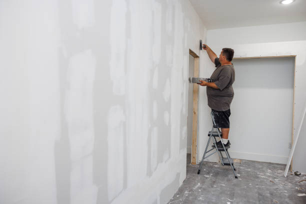 Trusted Clifton, NJ Mold Removal Experts
