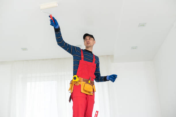 Best Emergency Mold Remediation  in Clifton, NJ